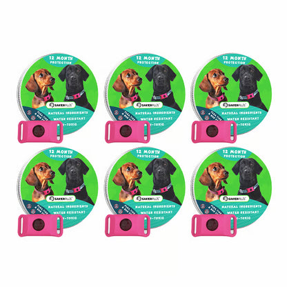 12 Months Flea and Tick Free
